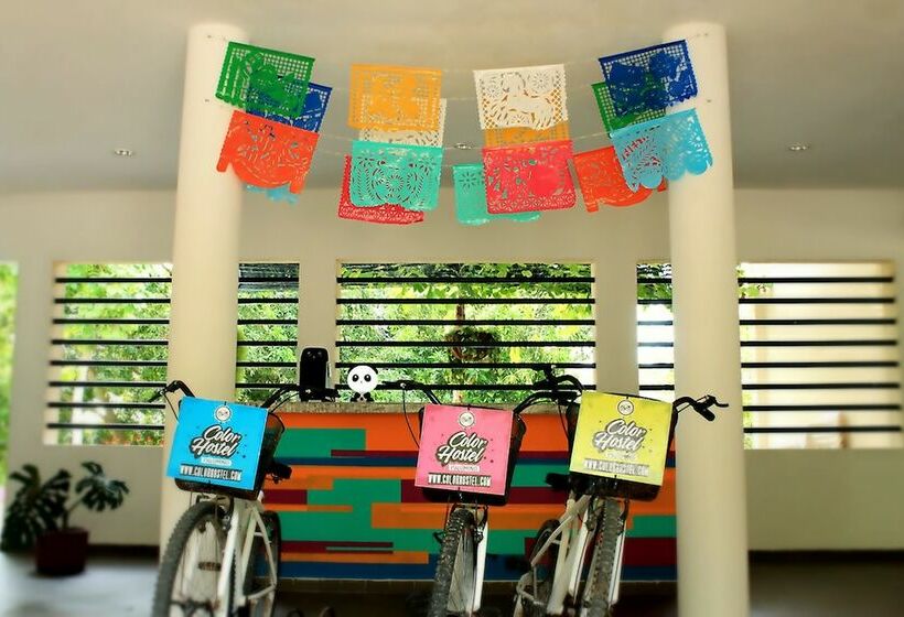 Color Hostel Palomino