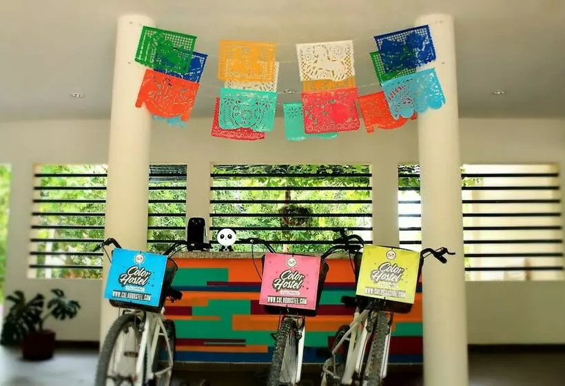 Color Hostel Palomino