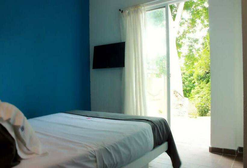 Color Hostel Palomino