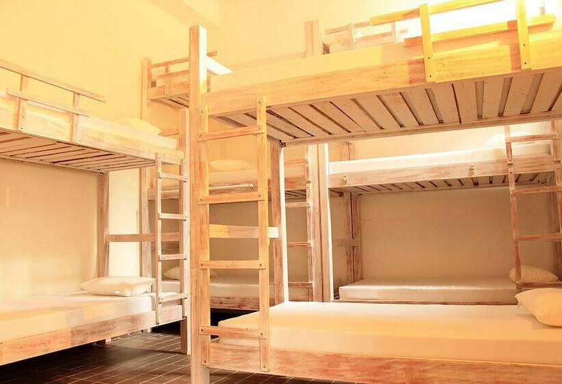 Color Hostel Palomino