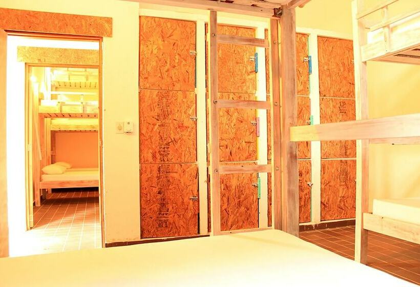 Color Hostel Palomino