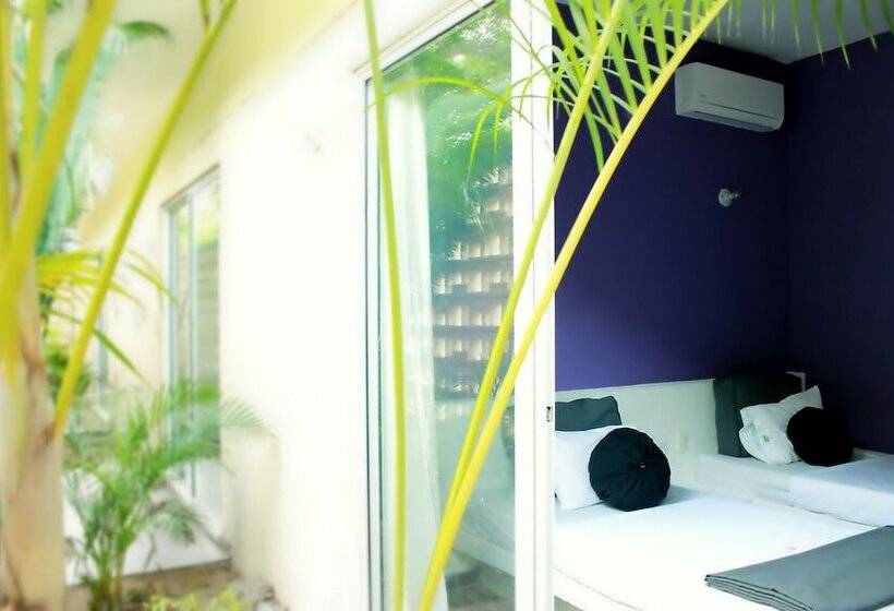 Color Hostel Palomino