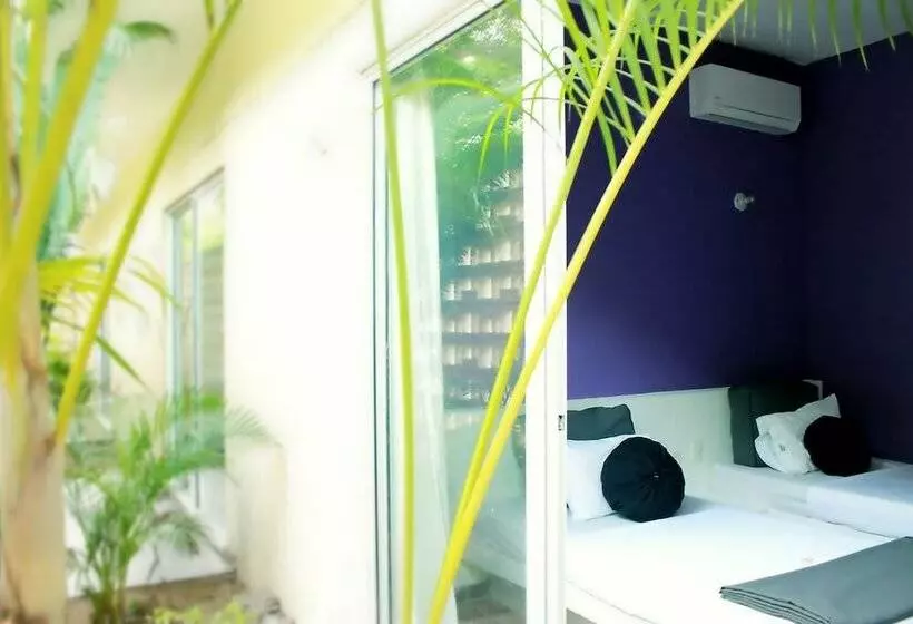 Color Hostel Palomino