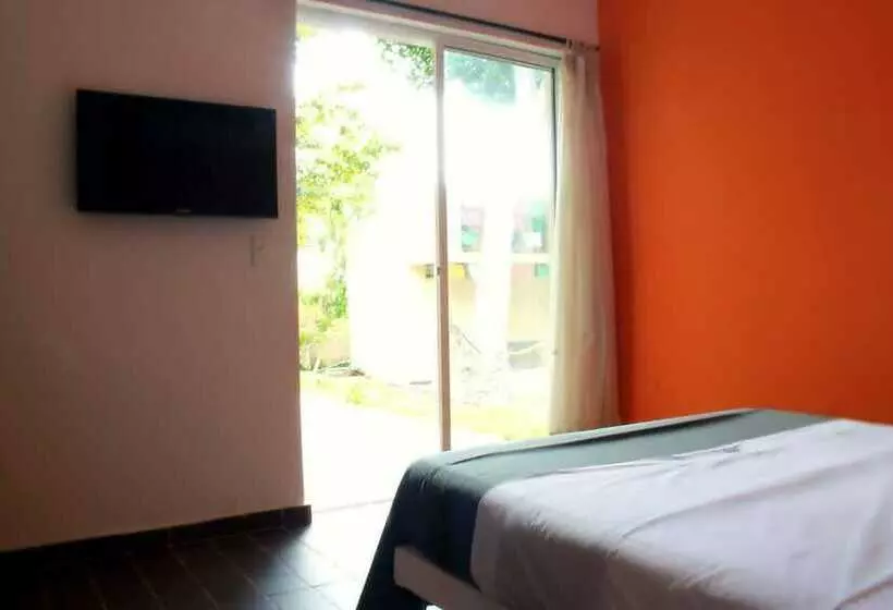 Color Hostel Palomino