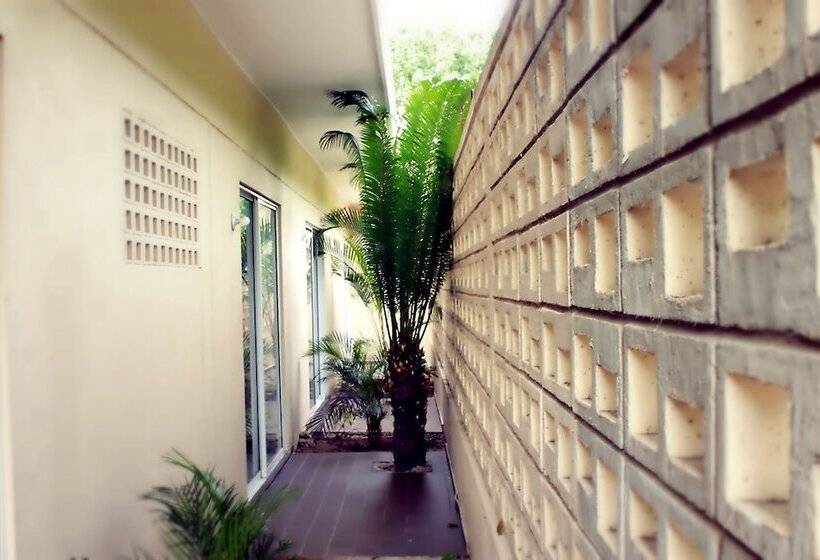 Color Hostel Palomino