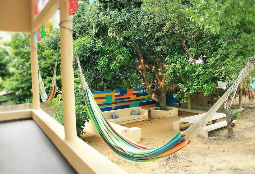 Color Hostel Palomino