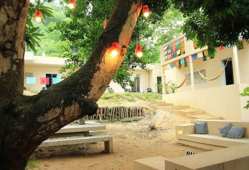 Color Hostel Palomino