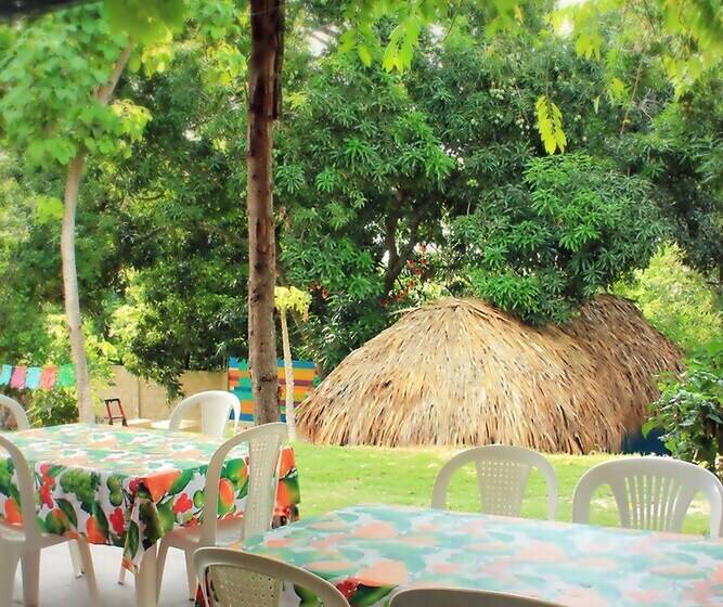 Color Hostel Palomino