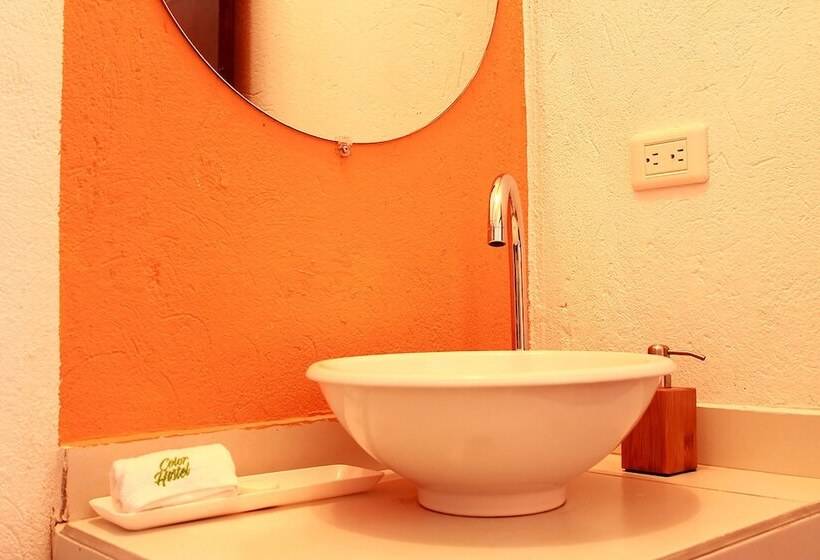 Color Hostel Palomino