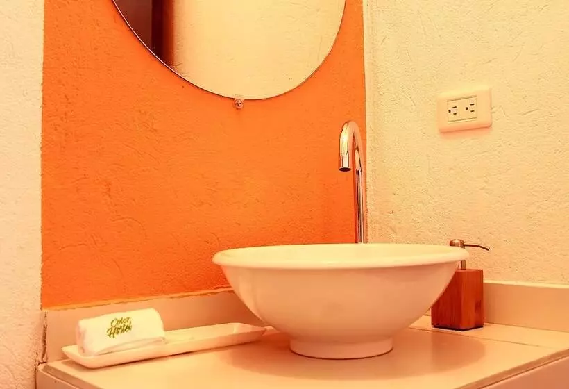 Color Hostel Palomino