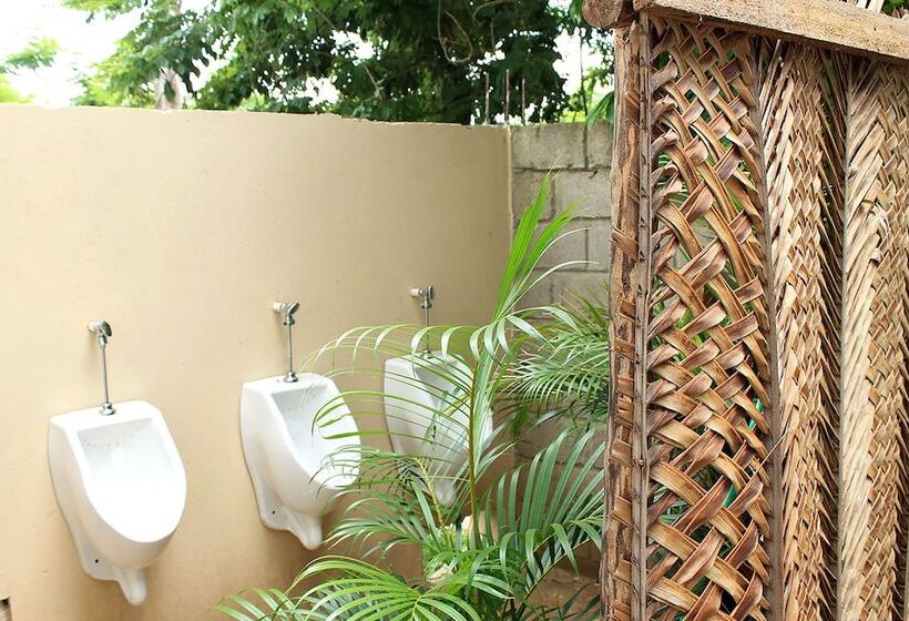 Color Hostel Palomino