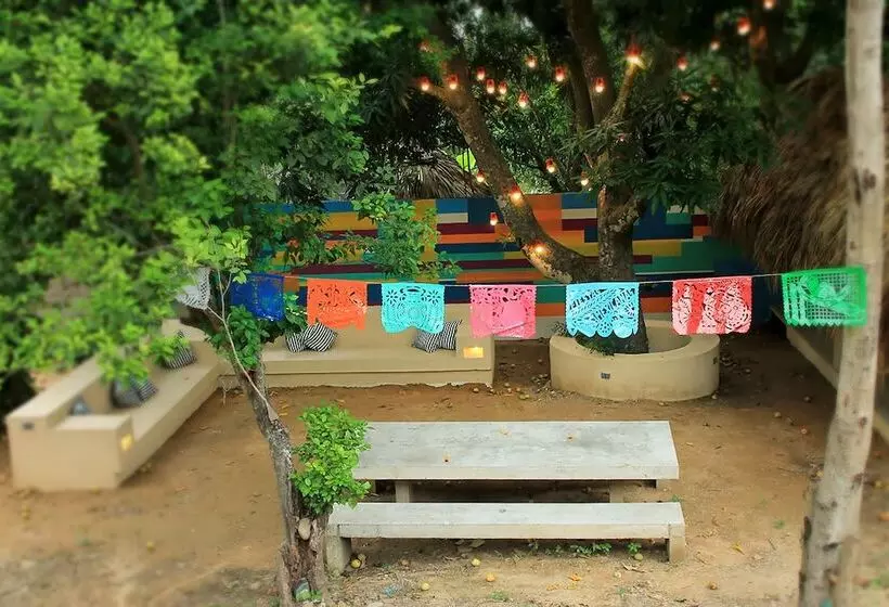 Color Hostel Palomino