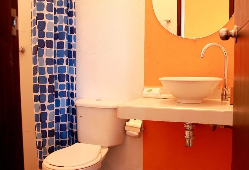 Color Hostel Palomino