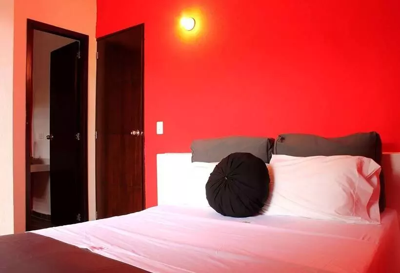 Color Hostel Palomino
