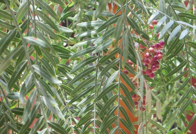 פונדק Casa Atacameña