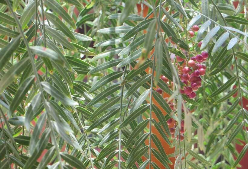 פונדק Casa Atacameña