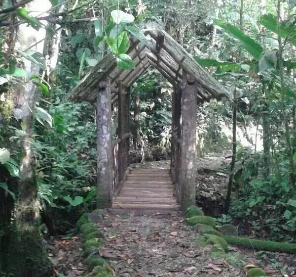 ホテル Bellandia Lodge