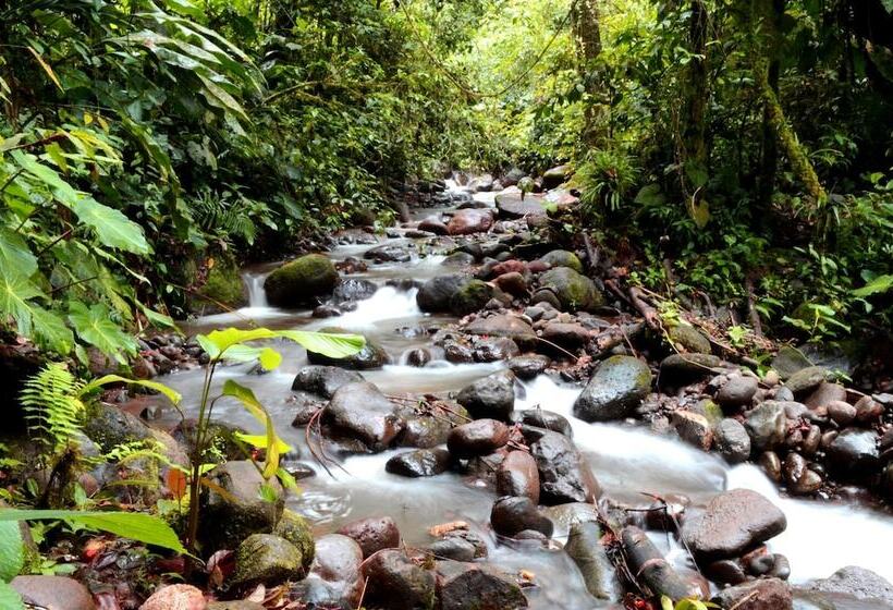 호텔 Bellandia Lodge