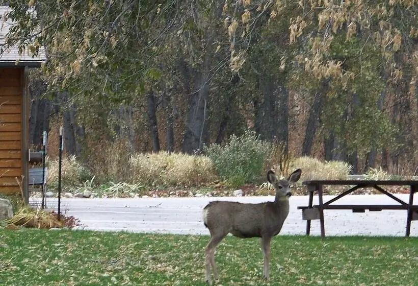 هتل Canyon Lake Resort