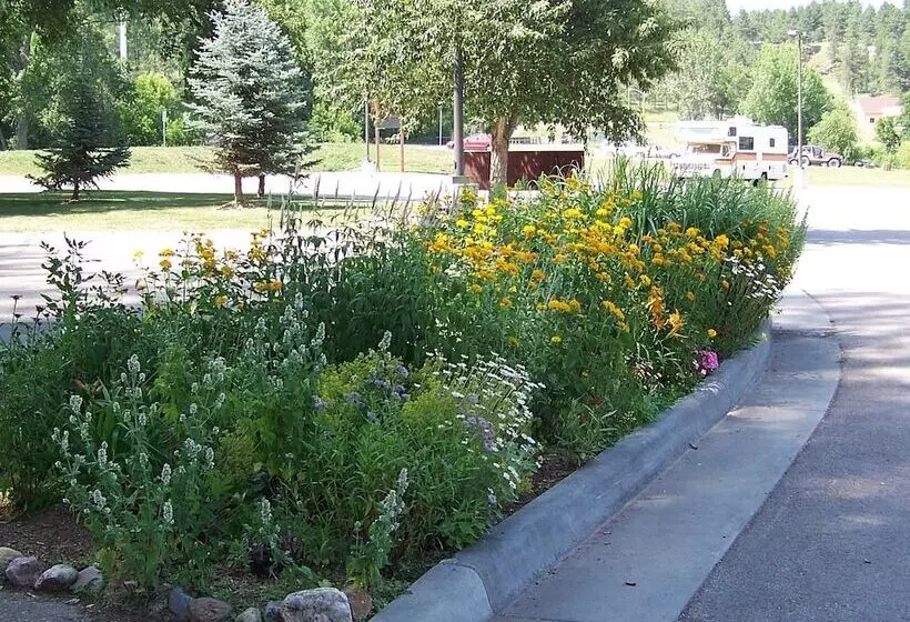 هتل Canyon Lake Resort