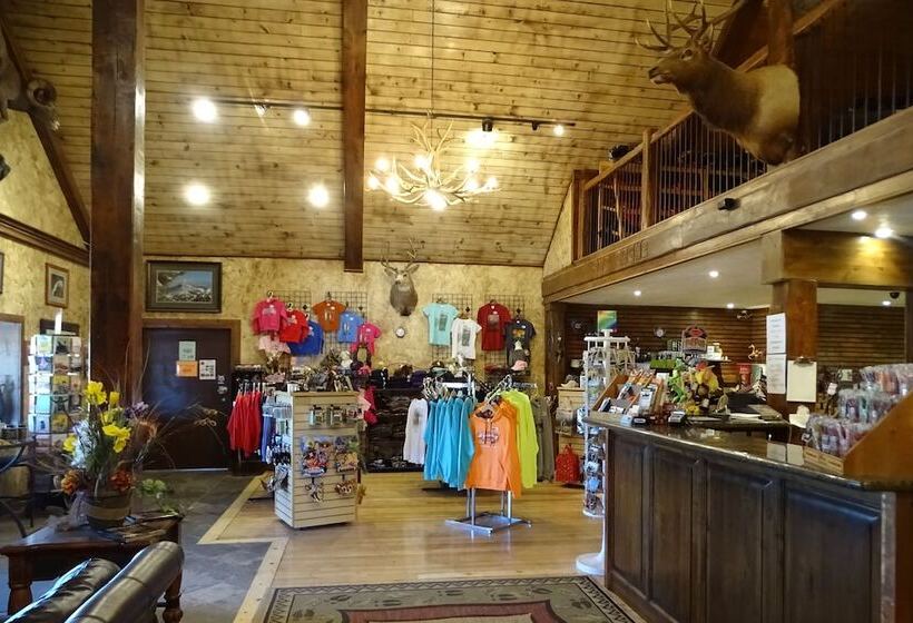 Отель Elk View Inn