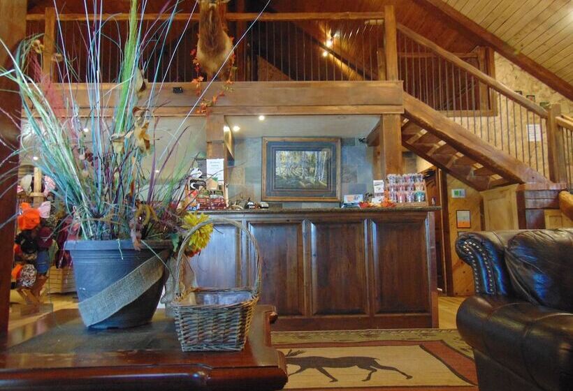Отель Elk View Inn
