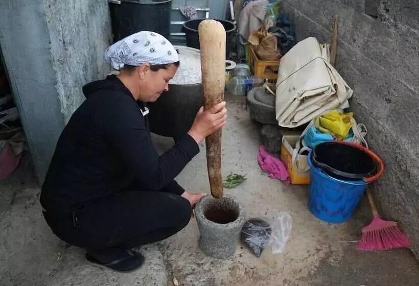 هتل Gira Lua