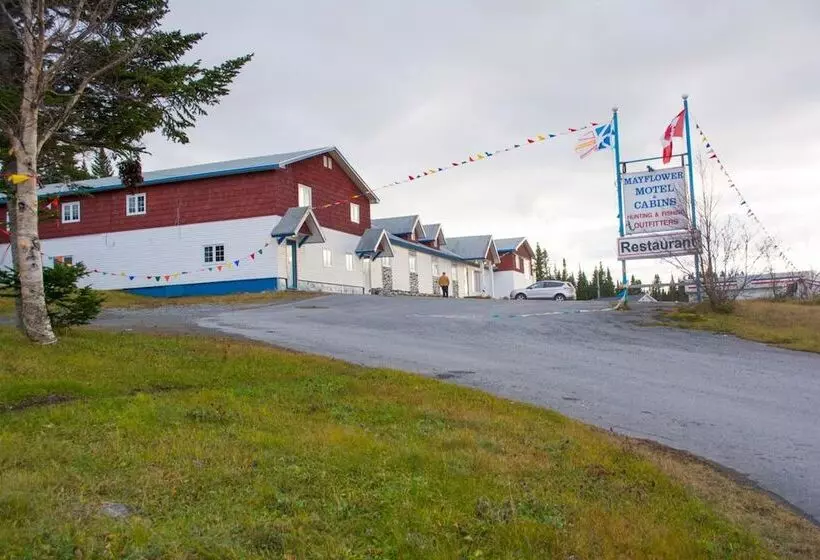 Hotelli Mayflower Inn And Adventures