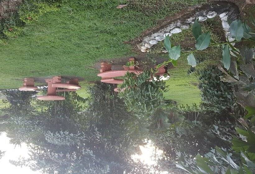 هتل Vista Al Tortuguero