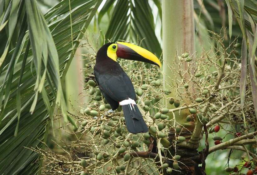 هتل Vista Al Tortuguero
