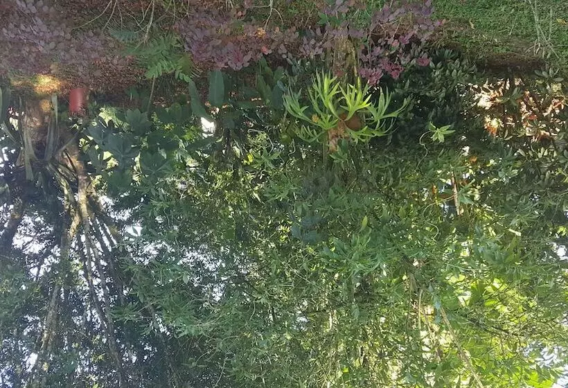 Hotelli Vista Al Tortuguero