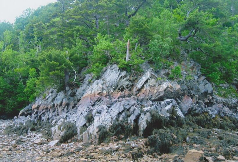 Millyard Recreation Riverfront Cottages