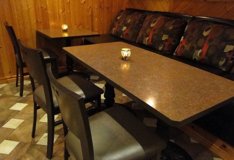 فندق على الطريق Pinewood Motor Inn