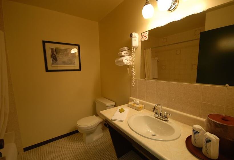 فندق على الطريق Pinewood Motor Inn