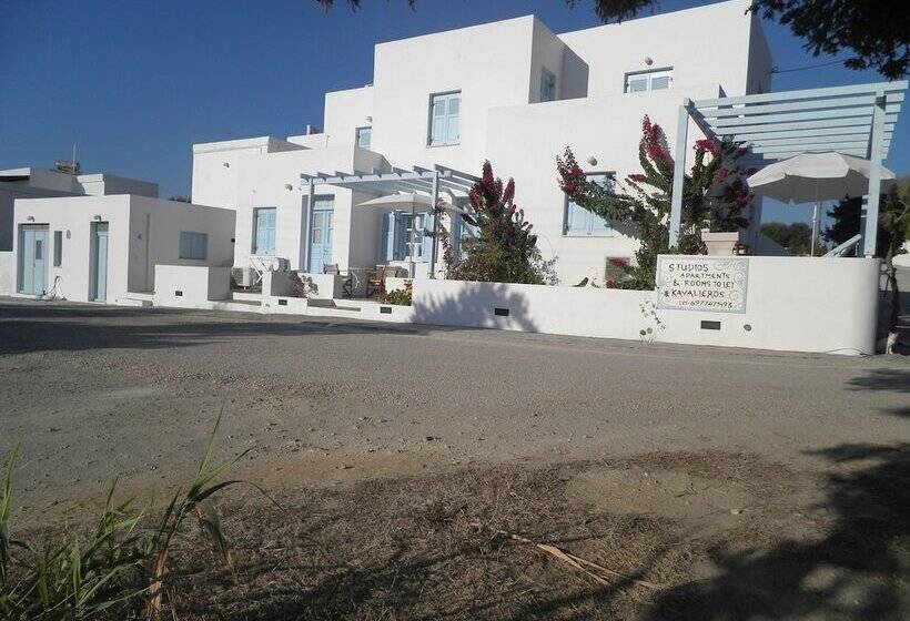 بنسيون Kavalieros Studios