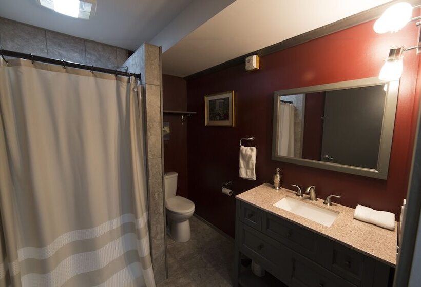 بنسيون Ski Inn