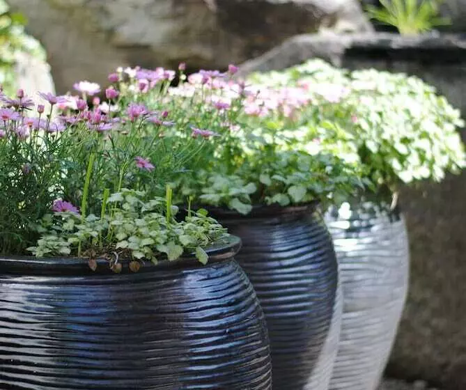 Rosendal Turisthotell