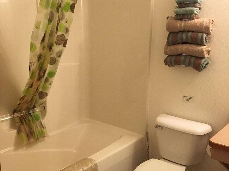 Scully S Manistee Outpost Motel