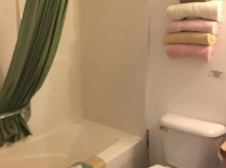 Scully S Manistee Outpost Motel