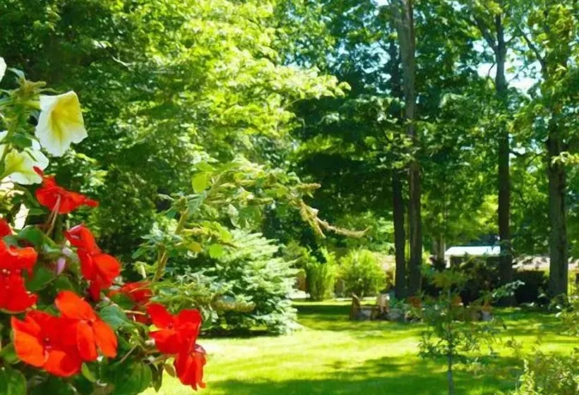 The Saugatuck Retro Resort Motel