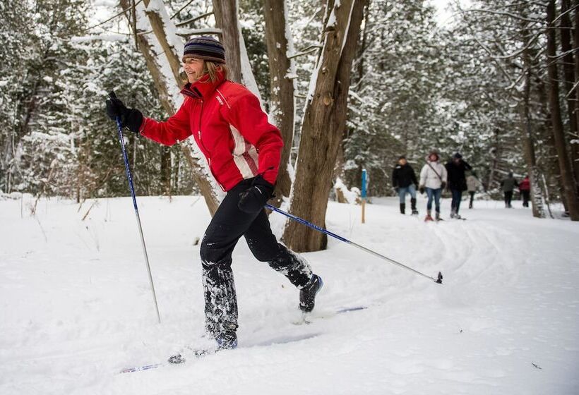 Bed and Breakfast The Inn At Cobble Beach