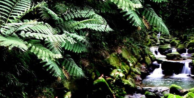 هتل Feng Ya Yue Zhu