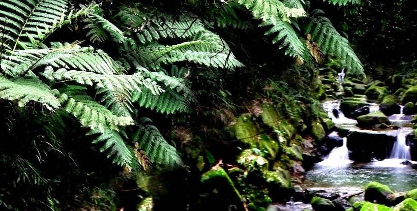 هتل Feng Ya Yue Zhu