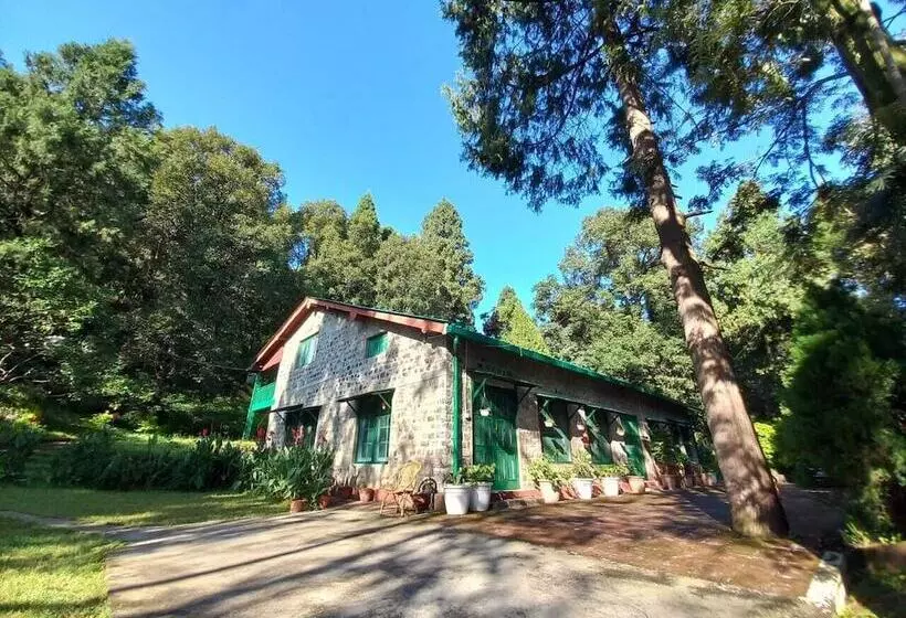 ホテル Fredy S Bungalow