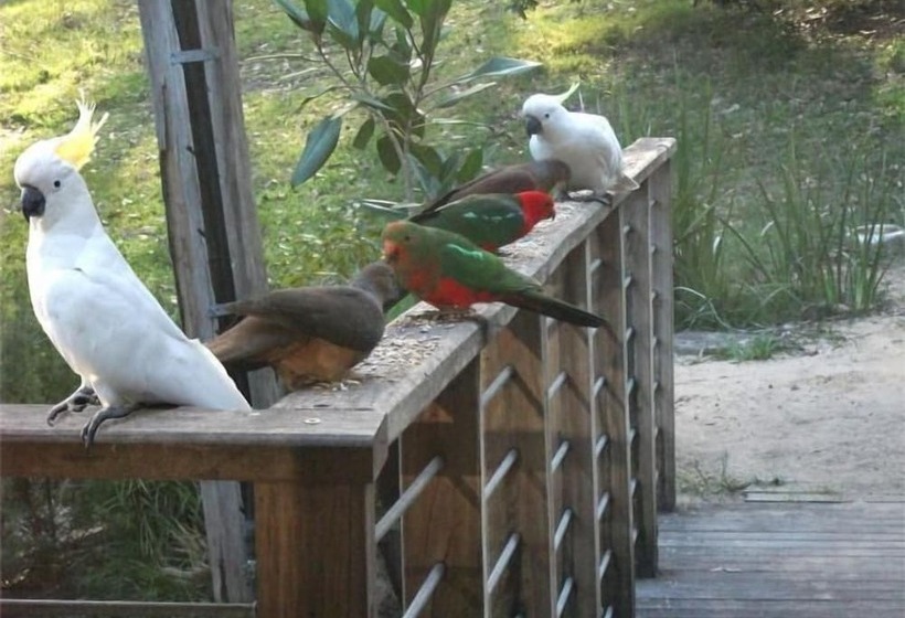 فندق Lakeshore Lodge