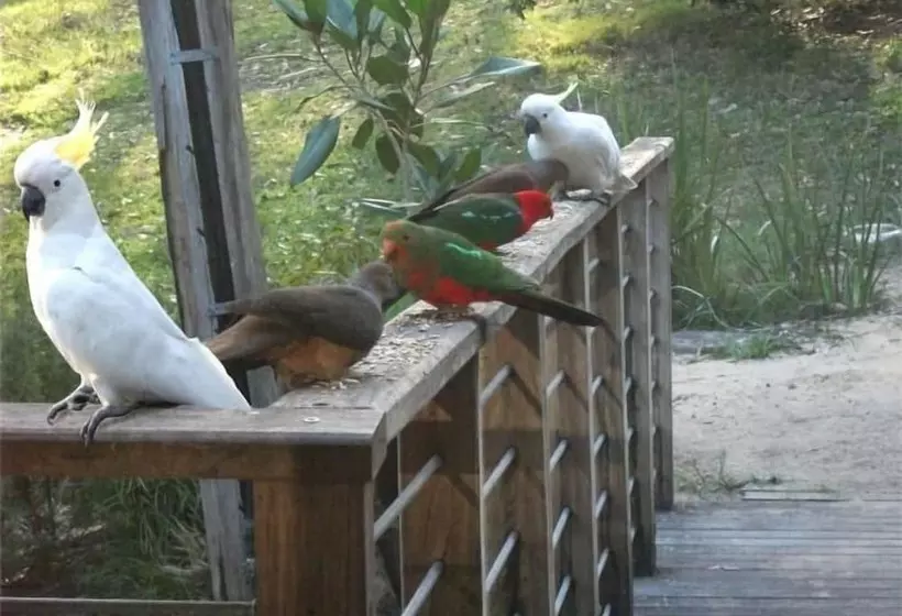 Hotelli Lakeshore Lodge