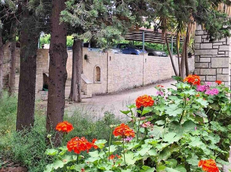 Hôtel Mountain Vista Resort