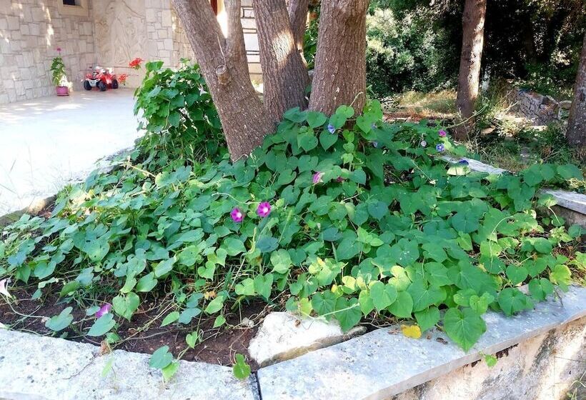 Hôtel Mountain Vista Resort