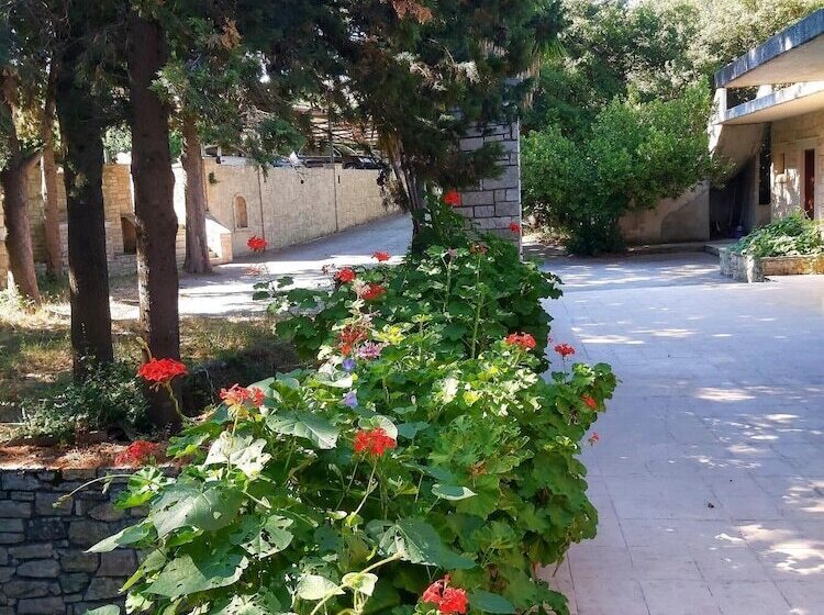 Hôtel Mountain Vista Resort