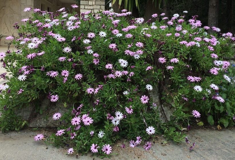 Hôtel Mountain Vista Resort